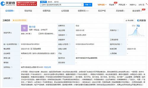 蘇寧布局數字科技新賽道 成立科技公司，涉足演出經紀與數字內容服務